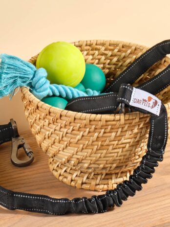 BUNGEE DOG LEASH – MULTIFUNCTIONAL WITH CAR SEAT BELT